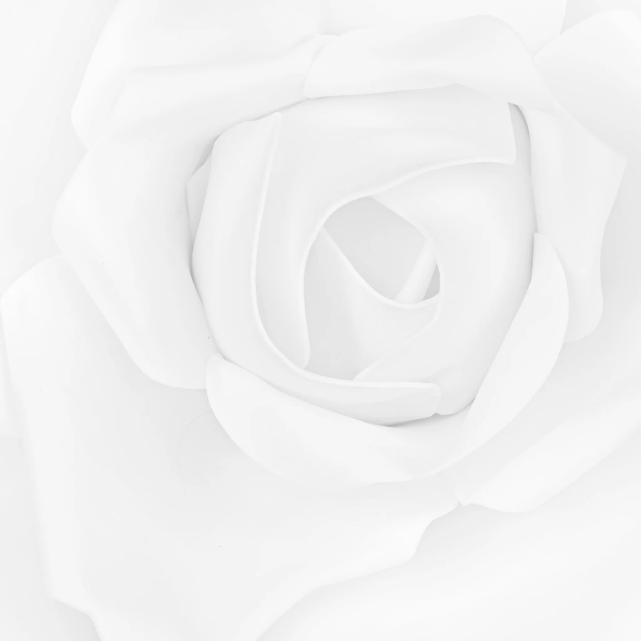Large Foam Rose Wall  Decor 50 cm - White - Image 3
