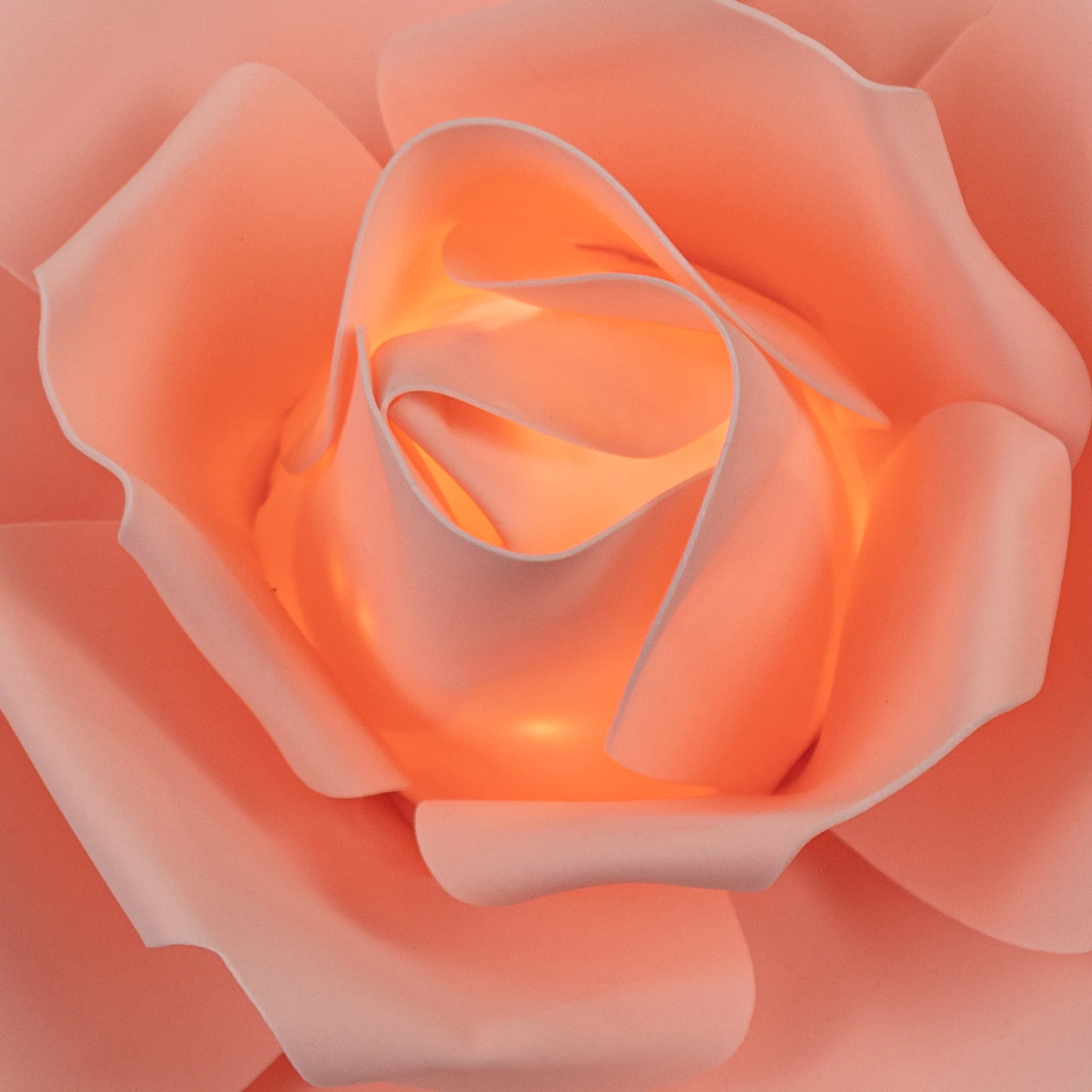 LED Lighted Large Foam Rose Wall Decor 30 cm - Blush - Image 2
