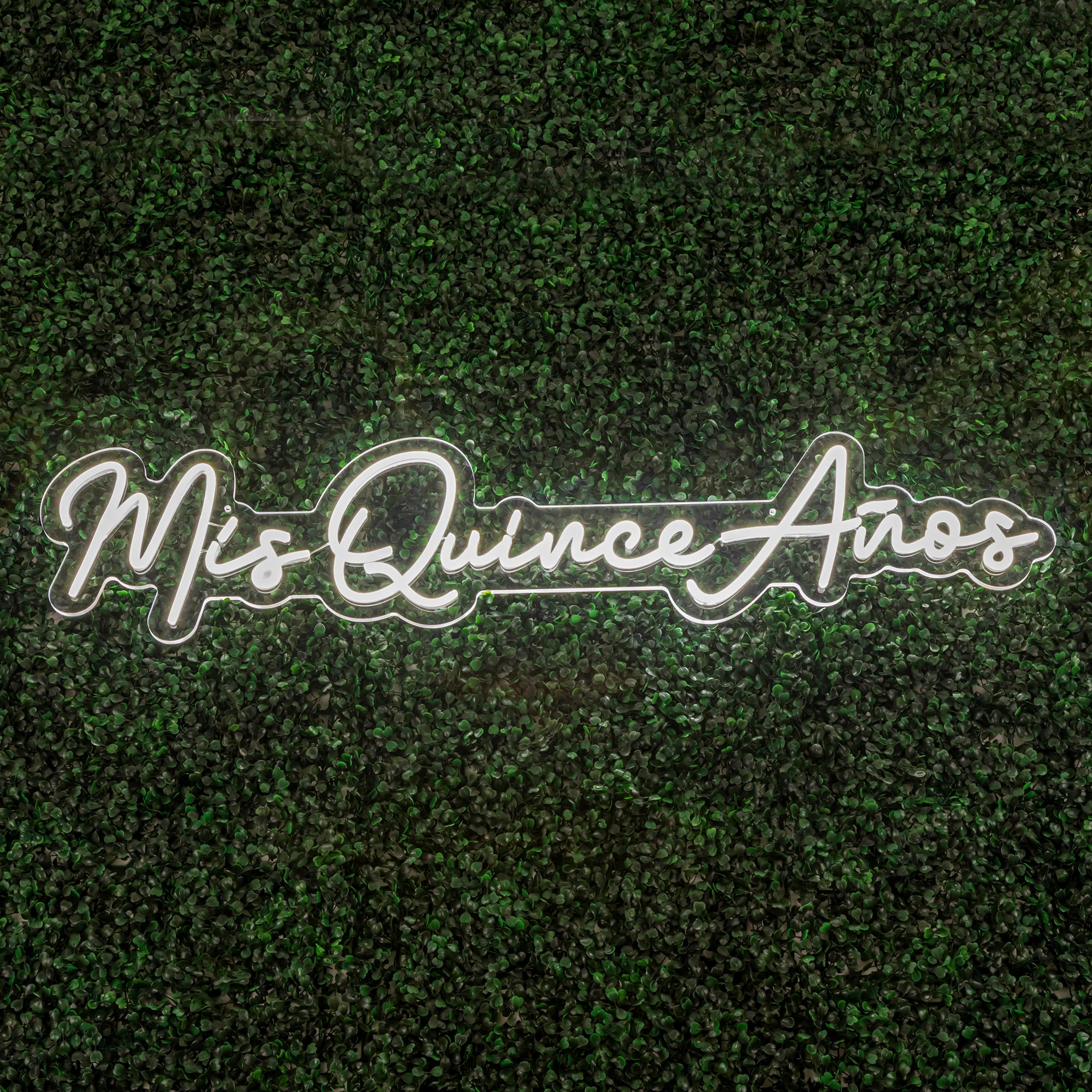 Mis Quince Anos Neon Sign
