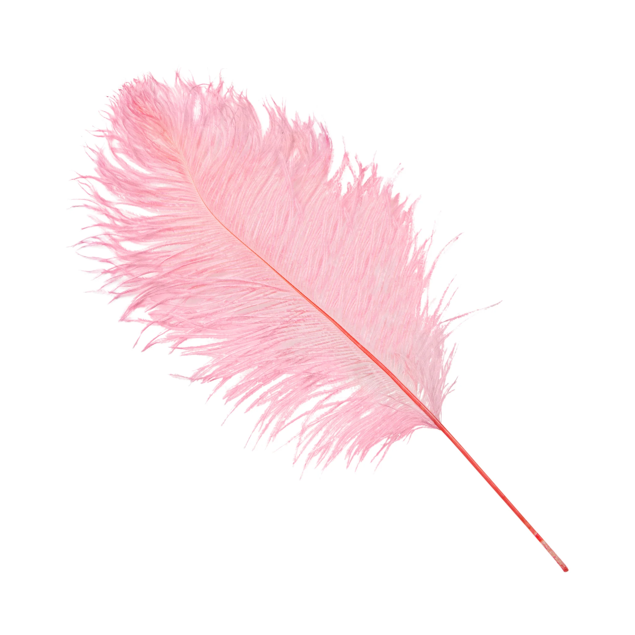 Ostrich Feathers 16"-18" (10 pcs) - Pink - Image 2