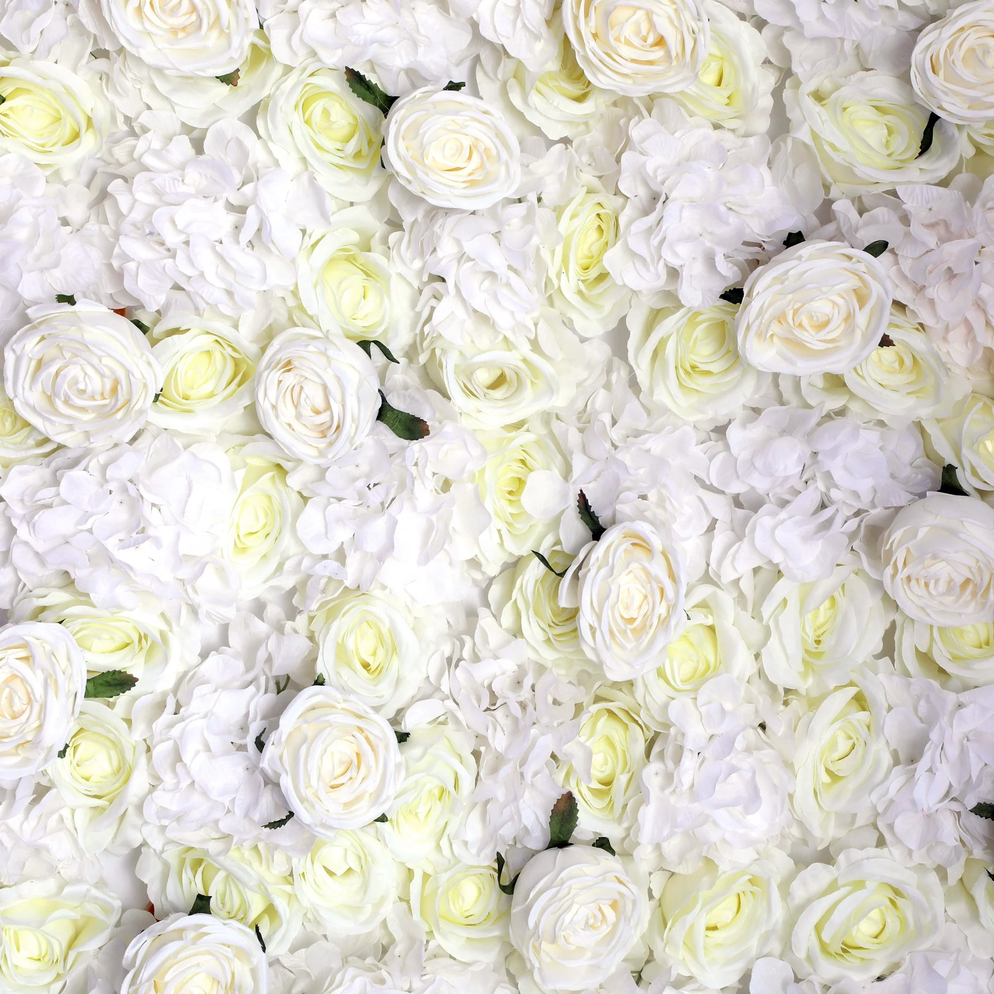 Roll Up Flower Wall Backdrop 8ft x 4ft - Ivory - Image 4