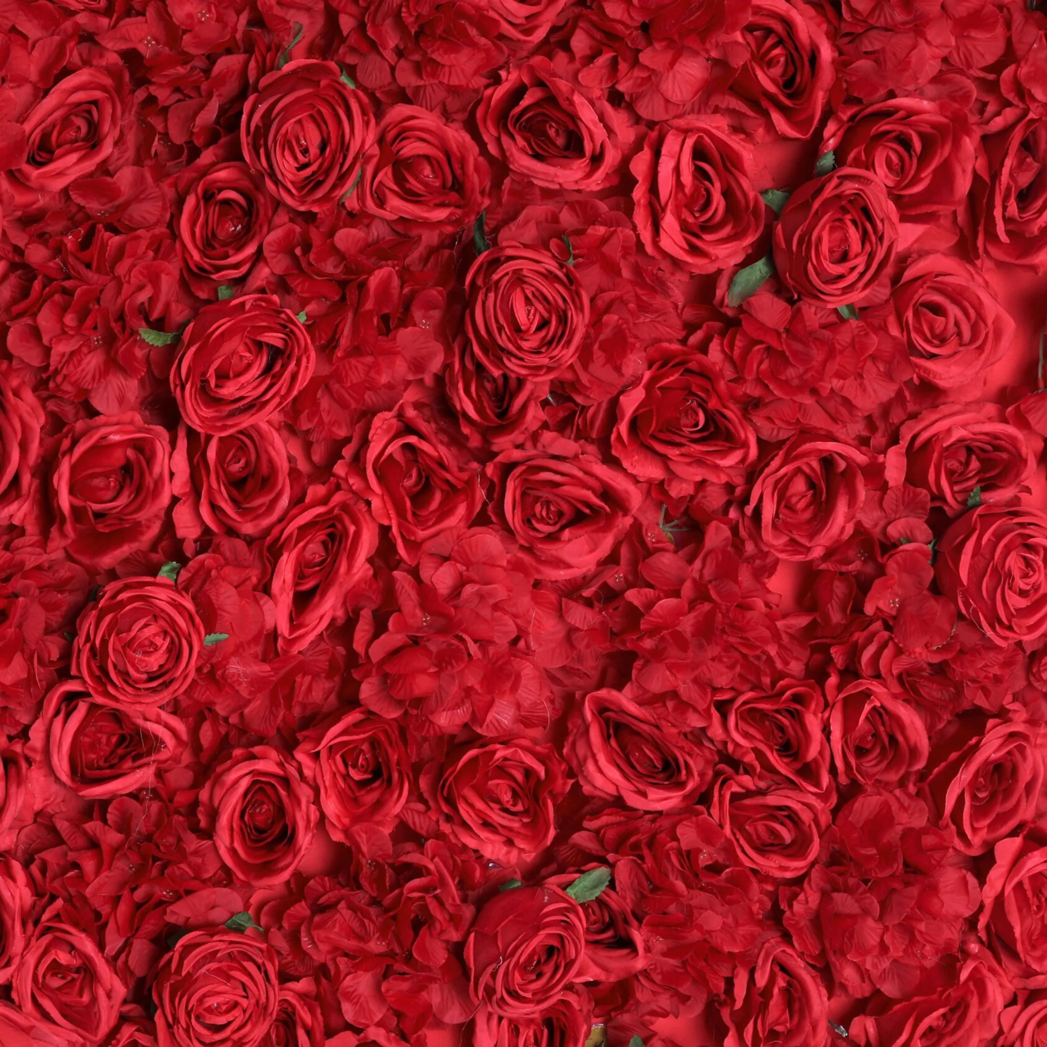 Roll Up Flower Wall Backdrop 8ft x 4ft - Red - Image 4