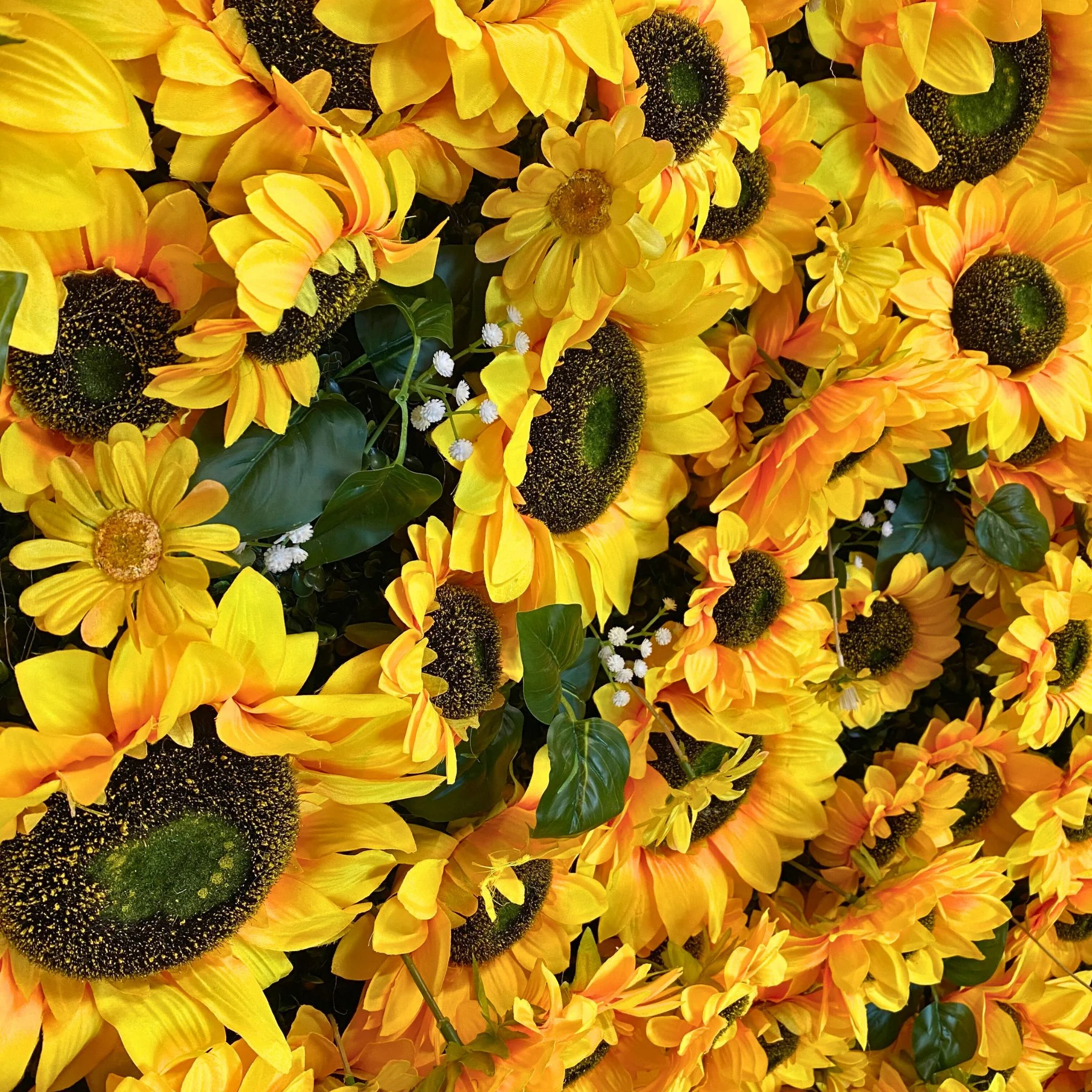 Premium Sunflower Wall Roll Up Backdrop 8ft x 4ft - Image 4