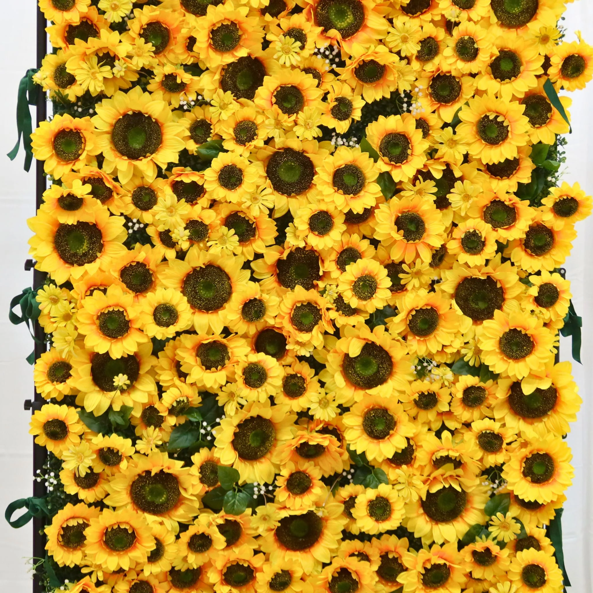 Premium Sunflower Wall Roll Up Backdrop 8ft x 4ft - Image 5